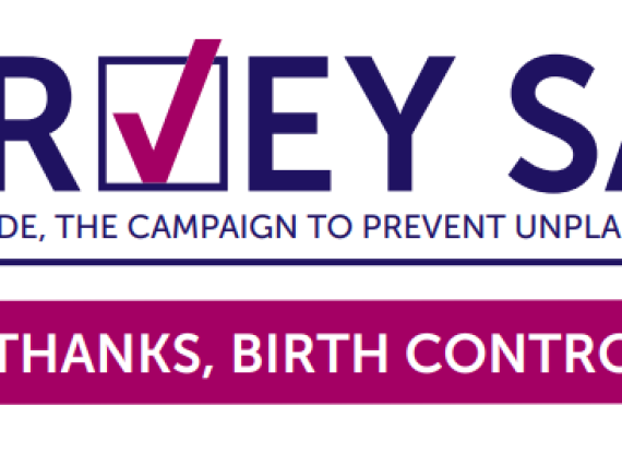 An image of the top of the Survey Says document. 